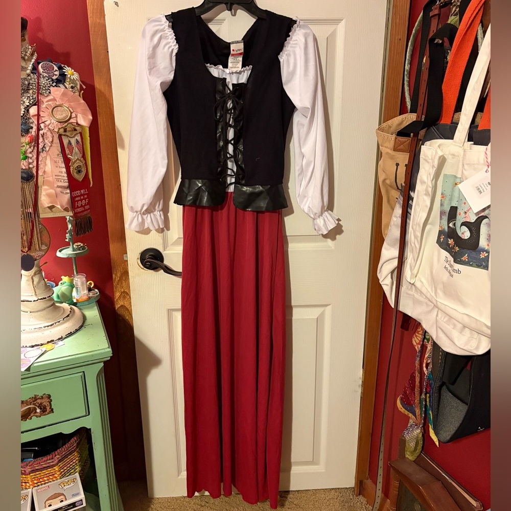 Disguise Tavern wench costume